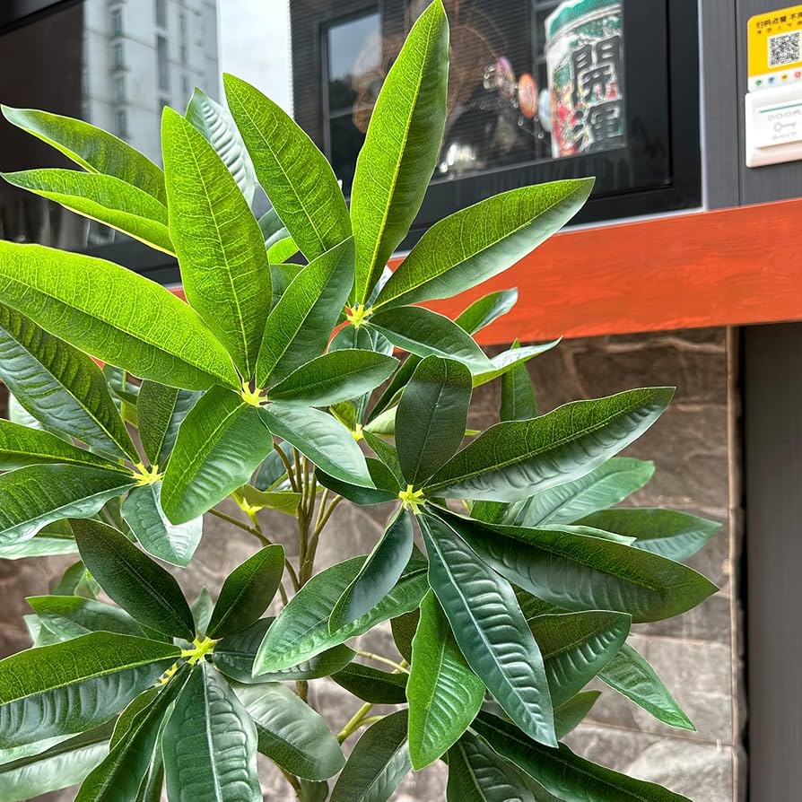 Amazon｜Yuwinron 人工観葉植物 フェイクグリーン 観葉樹 造花